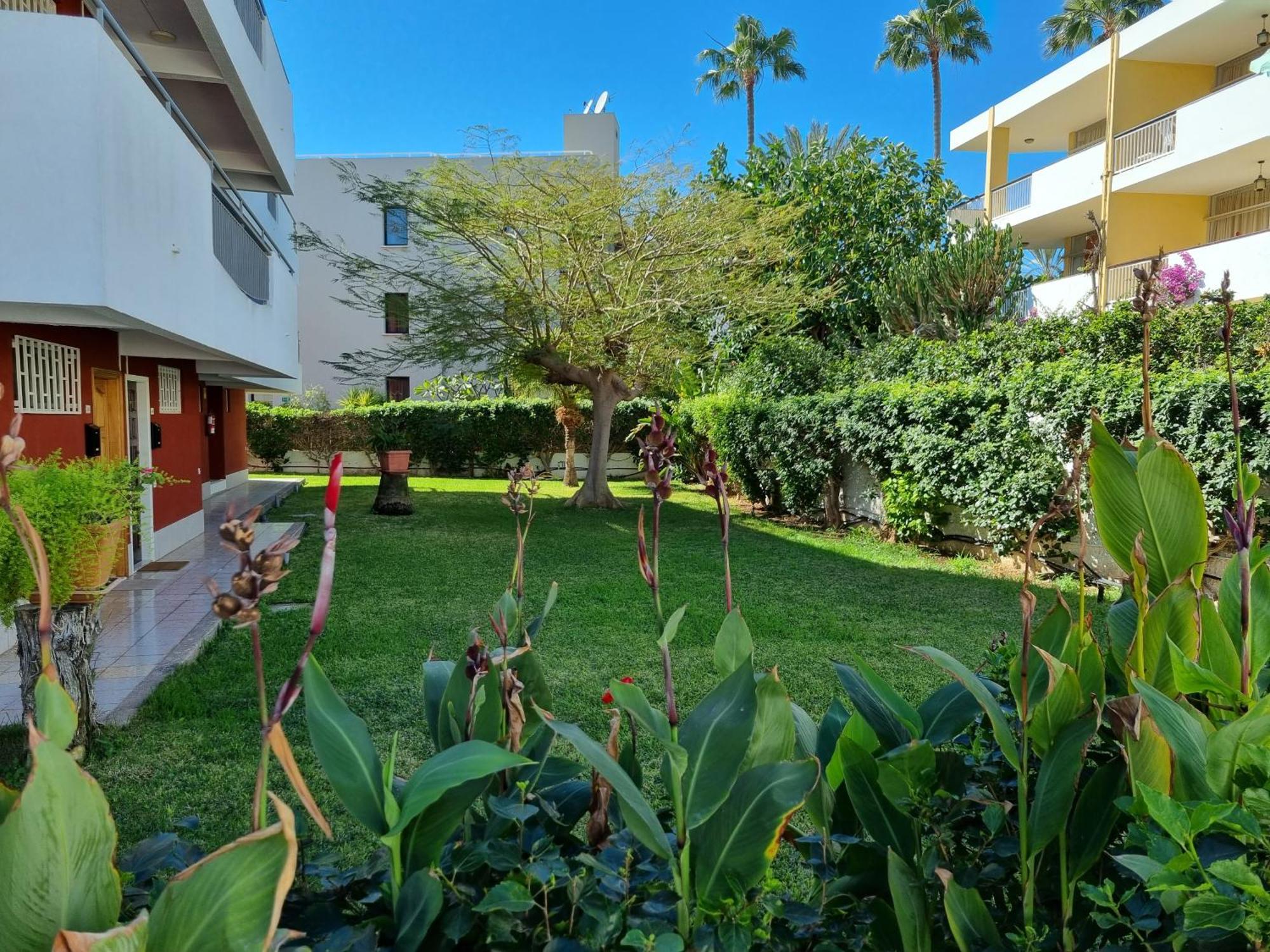 Apartment With Sea View Close To Dunes Of Playa Del Ingles San Bartolomé Exterior foto